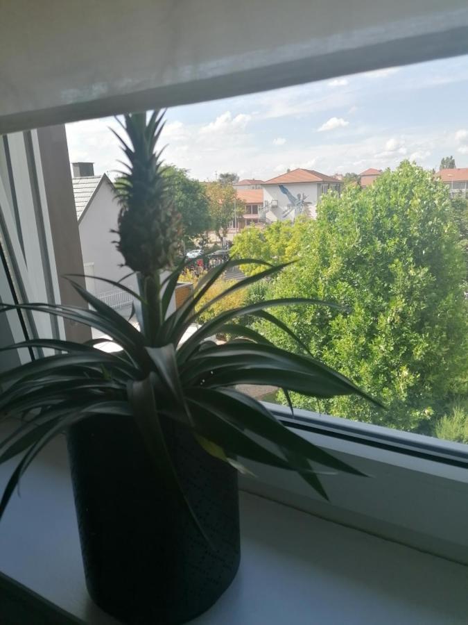 Chez Carine Apartment Schiltigheim Exterior photo